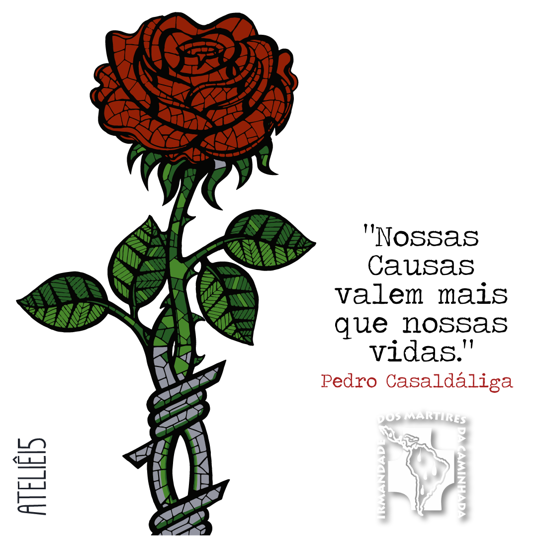 Nossas Causas